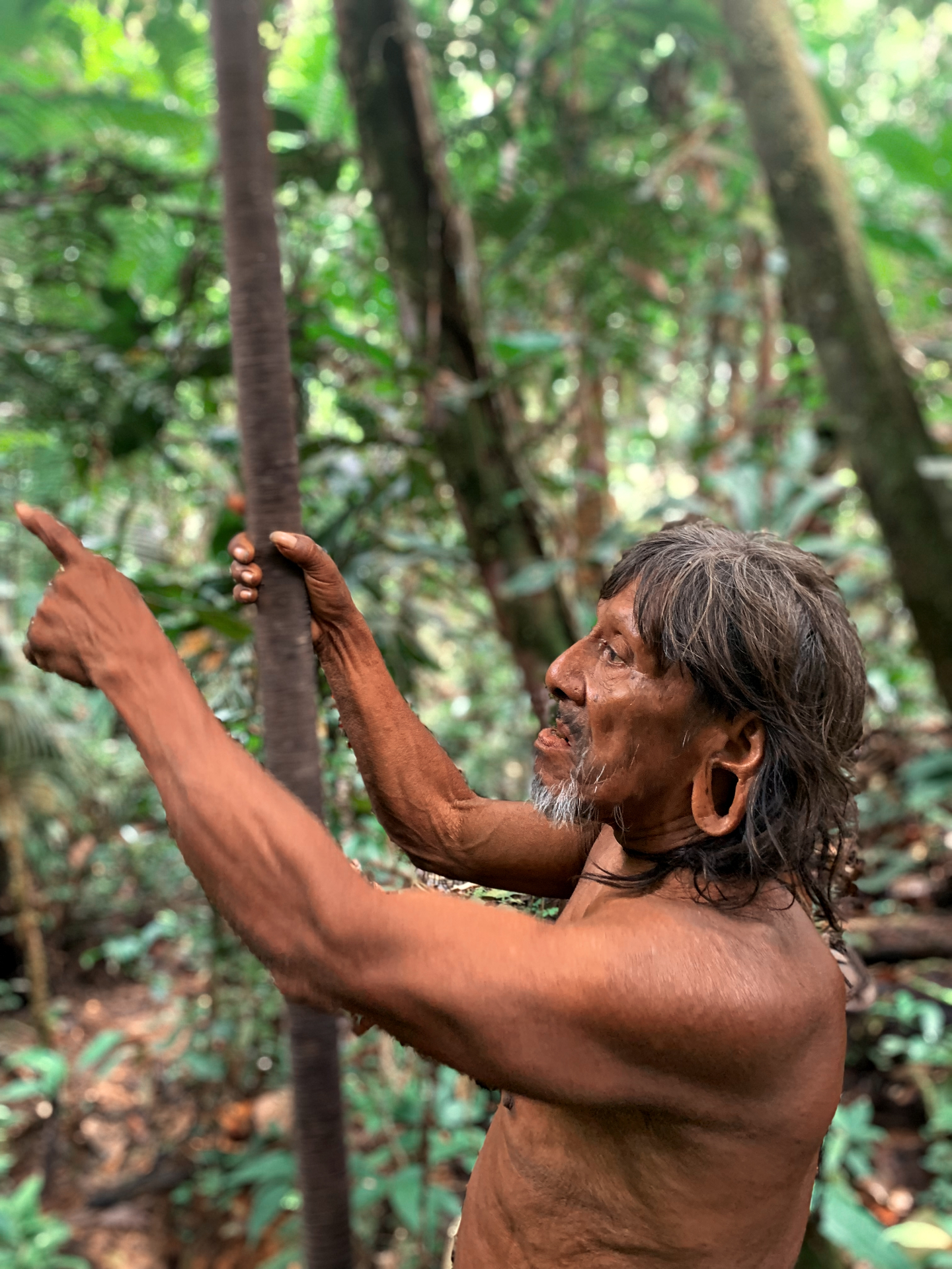 An elder points to what the forest is telling him — Waorani territorial knowledge in practice.