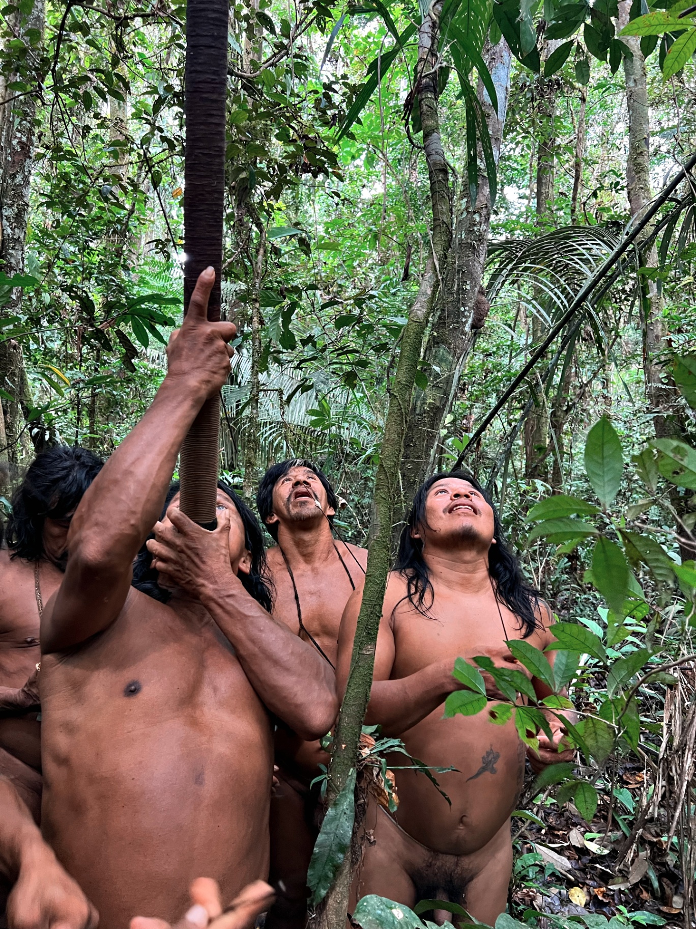 Reading the canopy together — knowledge of the forest passed between generations.
