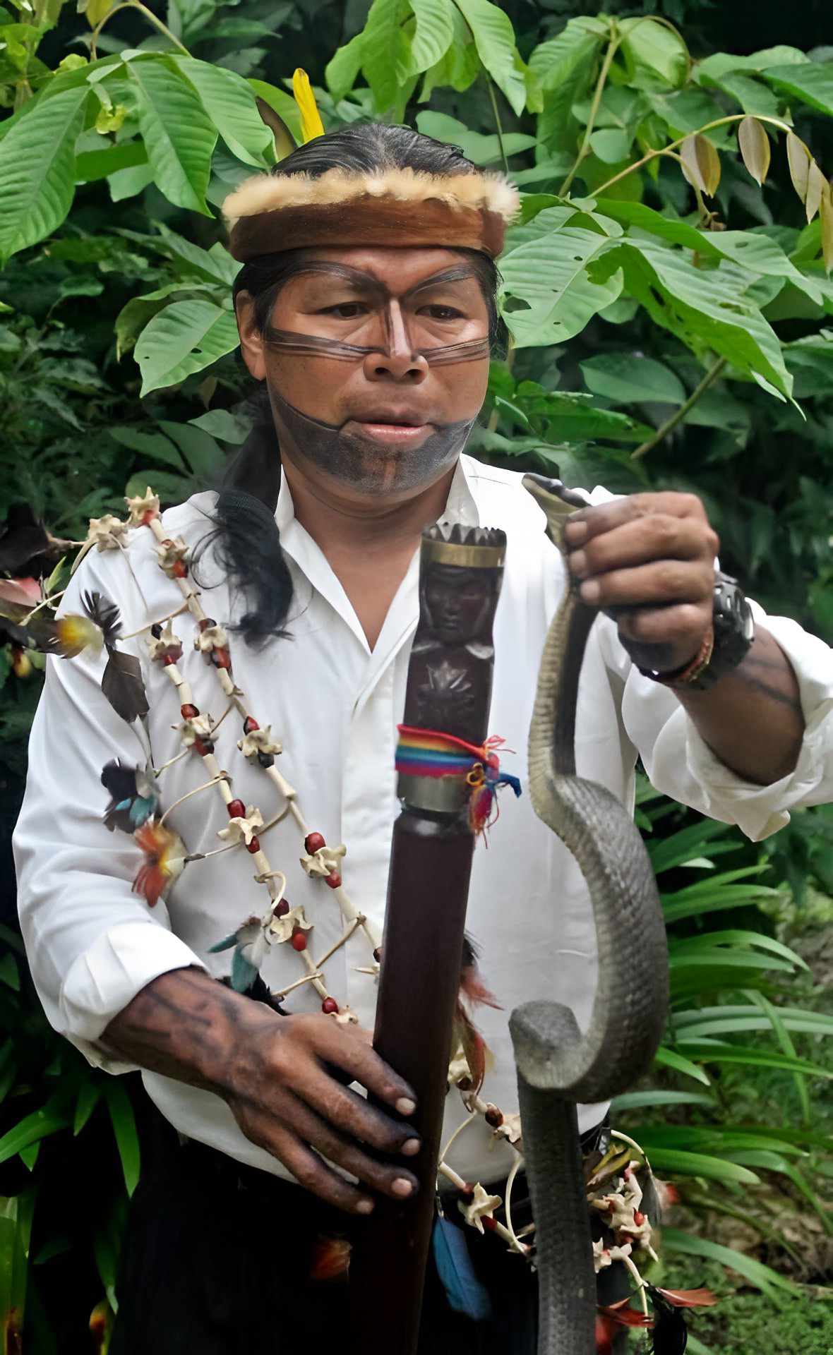 A Sarayaku yachak (shaman) — keeper of the relationships that make the Living Forest possible.