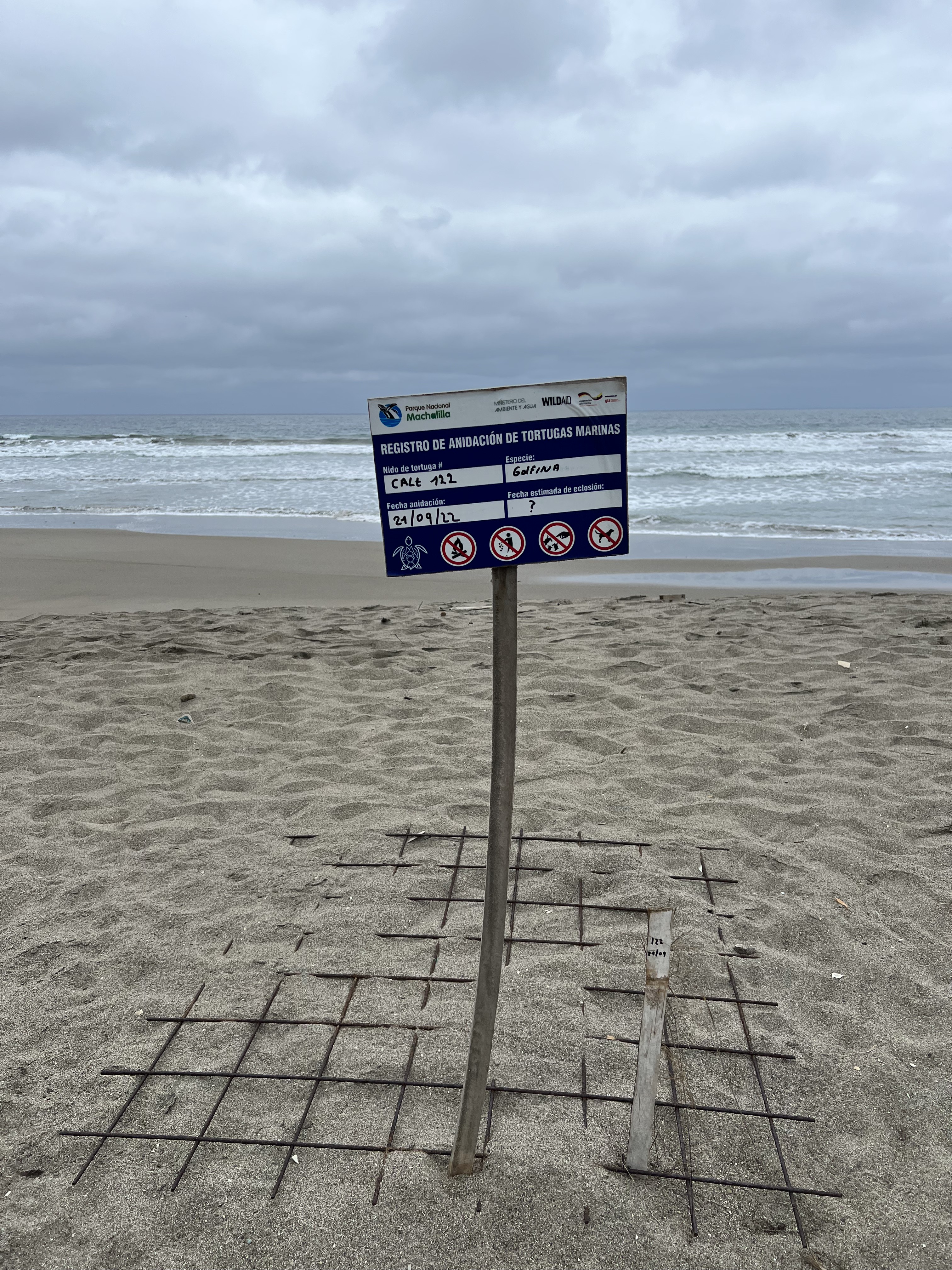 A monitored nest on the beach — part of the local sea-turtle nesting registry.